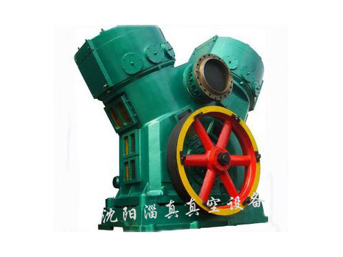 2WLW系列立式無(wú)油往復真空泵